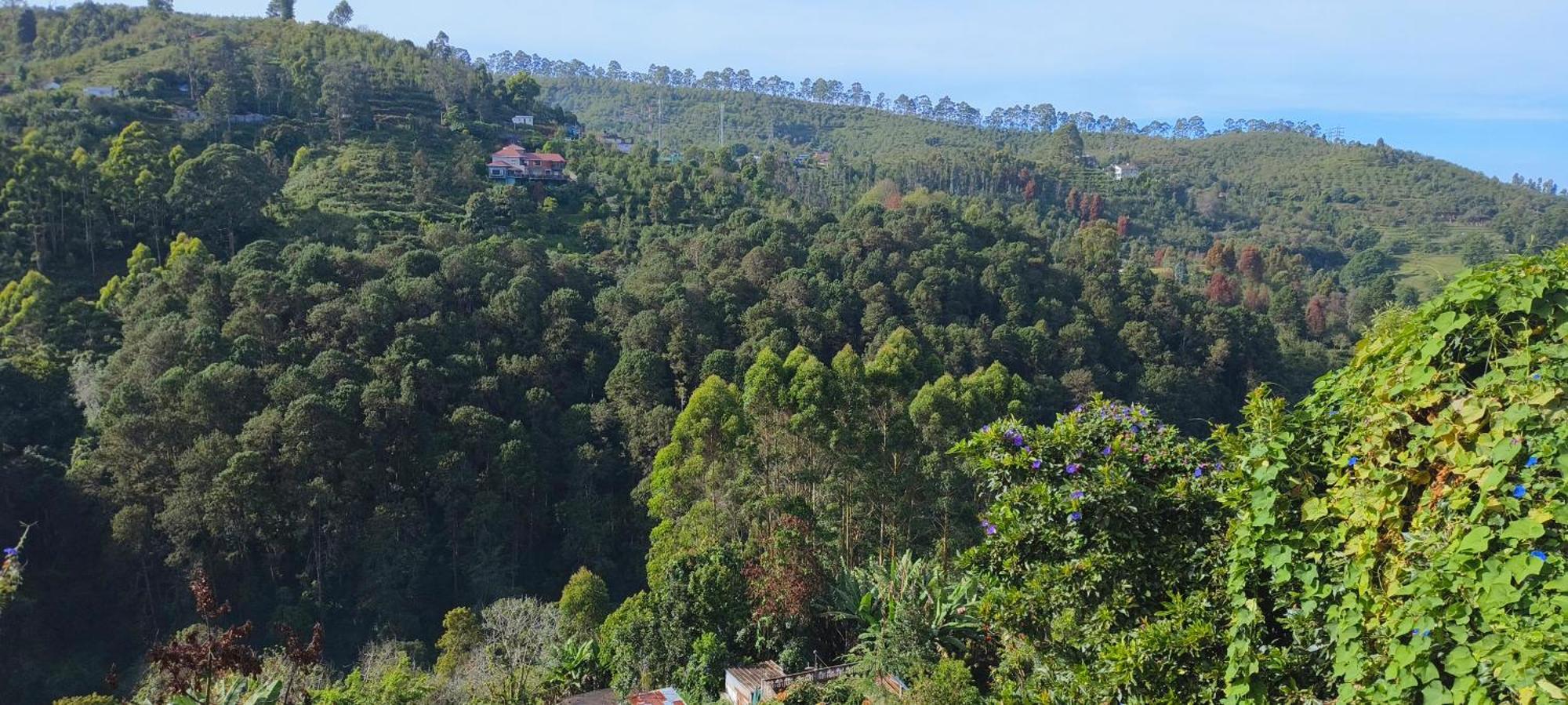 Hotel Highland Heaven Tamilnadu - Tamilnadu - Kodaikanal Esterno foto